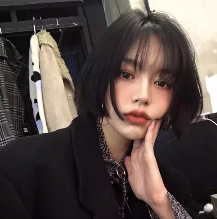 欧栗树